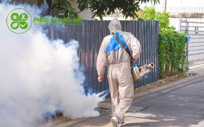 Bao lâu nên phun thuốc diệt muỗi một lần?