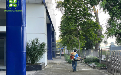 Dịch vụ phun diệt muỗi giá rẻ
