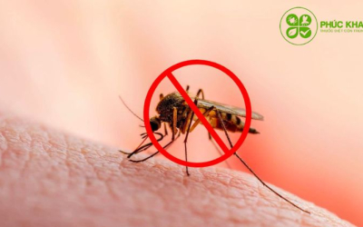 Cẩm nang thuốc diệt muỗi hiệu quả & an toàn 2025