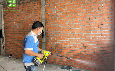 Quy Trình Diệt Mối Tận Gốc: Những Điều Cần Biết Để Xử Lý Mối Triệt Để