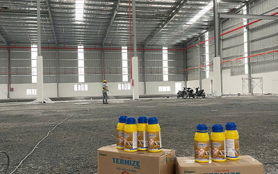 Công Ty Diệt Mối Giá Rẻ, Hiệu Quả Tại HCM