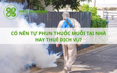 Có nên tự phun thuốc muỗi tại nhà hay thuê dịch vụ?
