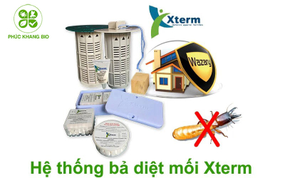 Đơn vị diệt mối uy tín tại Thành Phố Hồ Chí Minh