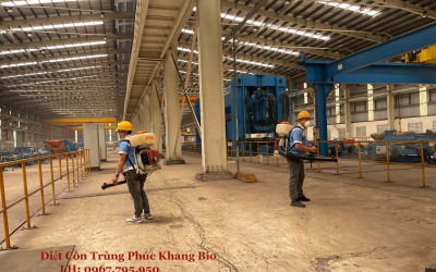 Dịch Vụ Diệt Côn Trùng Tận Gốc, Uy Tín, Giá Rẻ