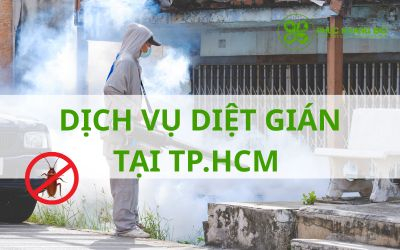 Dịch vụ diệt gián tại TP.HCM – Báo giá & quy trình