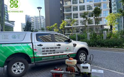 Dịch Vụ Diệt Mối Công Trình Hiệu Quả 100%