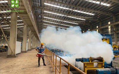 Dịch vụ diệt mối hiệu quả với công nghệ sinh học tiên tiến