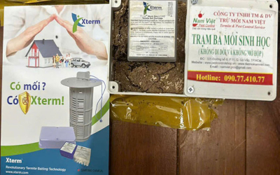 Cách Xử Lý Tổ Mối Trong Nhà Dân Hiệu Quả – Hướng Dẫn Chi Tiết