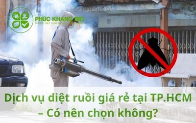 Dịch vụ diệt ruồi giá rẻ tại TP.HCM – Có nên chọn không?