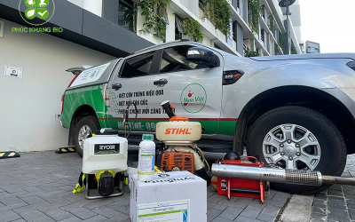 Bảng Giá Thuốc Diệt Mối Tận Gốc