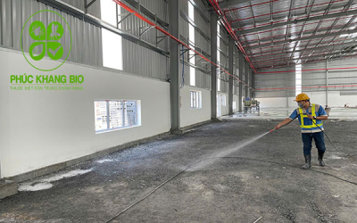 Diệt mối nền móng công trình: Quy trình và chi phí