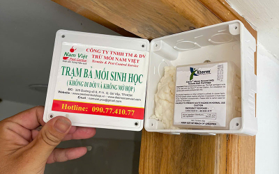 Dịch Vụ Diệt Mối Tận Gốc Giá Rẻ Hợp Lý Cho Gia Đình