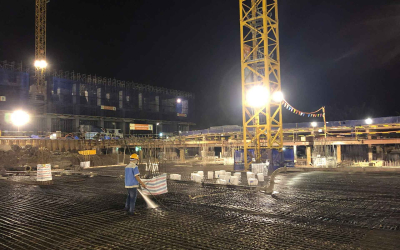 Quy Trình Và Kỹ Thuật Diệt Mối Tận Gốc Hiệu Quả 100%