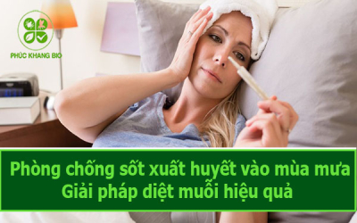 Phòng chống sốt xuất huyết mùa mưa – Giải pháp diệt muỗi hiệu quả