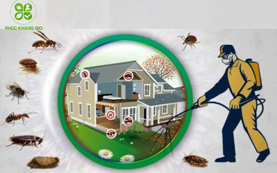 Dịch vụ diệt côn trùng tận gốc mang lại lợi ích gì?
