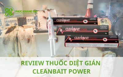 Review thuốc diệt gián Cleanbait Power