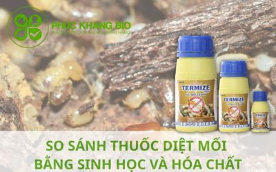 So sánh diệt mối bằng sinh học và hóa chất