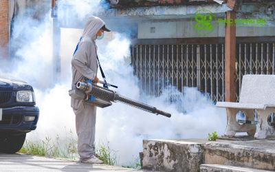 So sánh thuốc diệt muỗi sinh học và hóa học