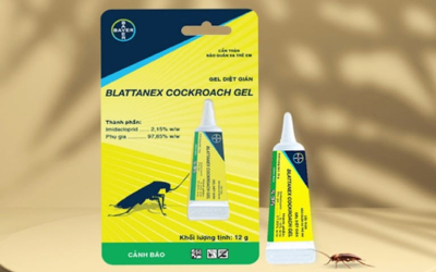 Gel Diệt Gián Blattanex – Diệt Gián Tận Gốc, Không Gây Mùi, An Toàn Cho Gia Đình