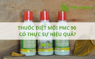 Thuốc diệt mối PMC 90 có thực sự hiệu quả?