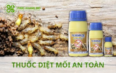 Thuốc diệt mối tận gốc: Giải pháp & cách phòng chống mối mọt cho công trình