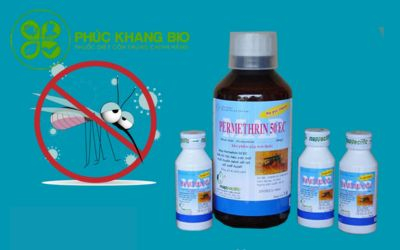 Thuốc diệt muỗi nào được Bộ Y tế khuyên dùng?
