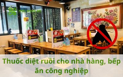 Thuốc diệt ruồi cho nhà hàng, bếp ăn công nghiệp