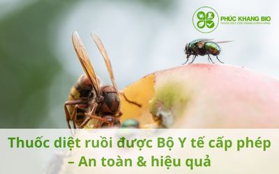 Thuốc diệt ruồi được Bộ Y tế cấp phép – An toàn & hiệu quả