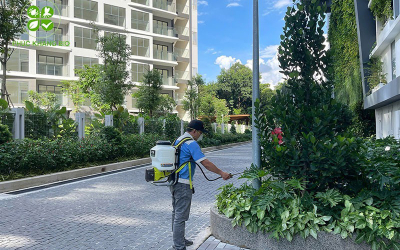  Dịch Vụ Diệt Côn Trùng Uy Tín, Bảo Hành Dài Hạn