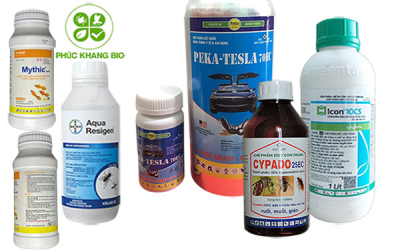 Top 5 loại thuốc diệt muỗi hiệu quả nhất 2025