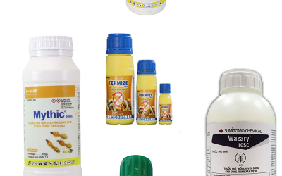 Top 5 loại thuốc trừ mối hiệu quả nhất năm 2025