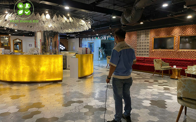 Dịch vụ phun diệt muỗi giá rẻ tại TPHCM
