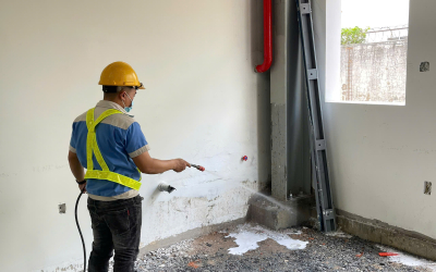 Công Ty Dịch Vụ Diệt Mối Uy Tín và Chất Lượng