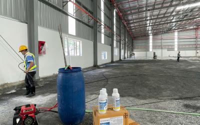 Chọn Công Ty Diệt Mối Tận Gốc Uy Tín Để Bảo Vệ Tài Sản Của Bạn
