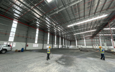 Dịch vụ diệt mối giá rẻ – không đục phá, an toàn cho mọi nhà