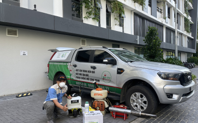 Thuốc diệt mối chính hãng