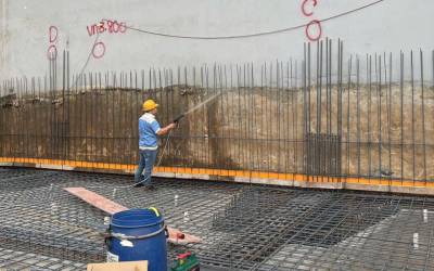 Dịch vụ phun diệt côn trùng chất lượng, cam kết sạch 100%