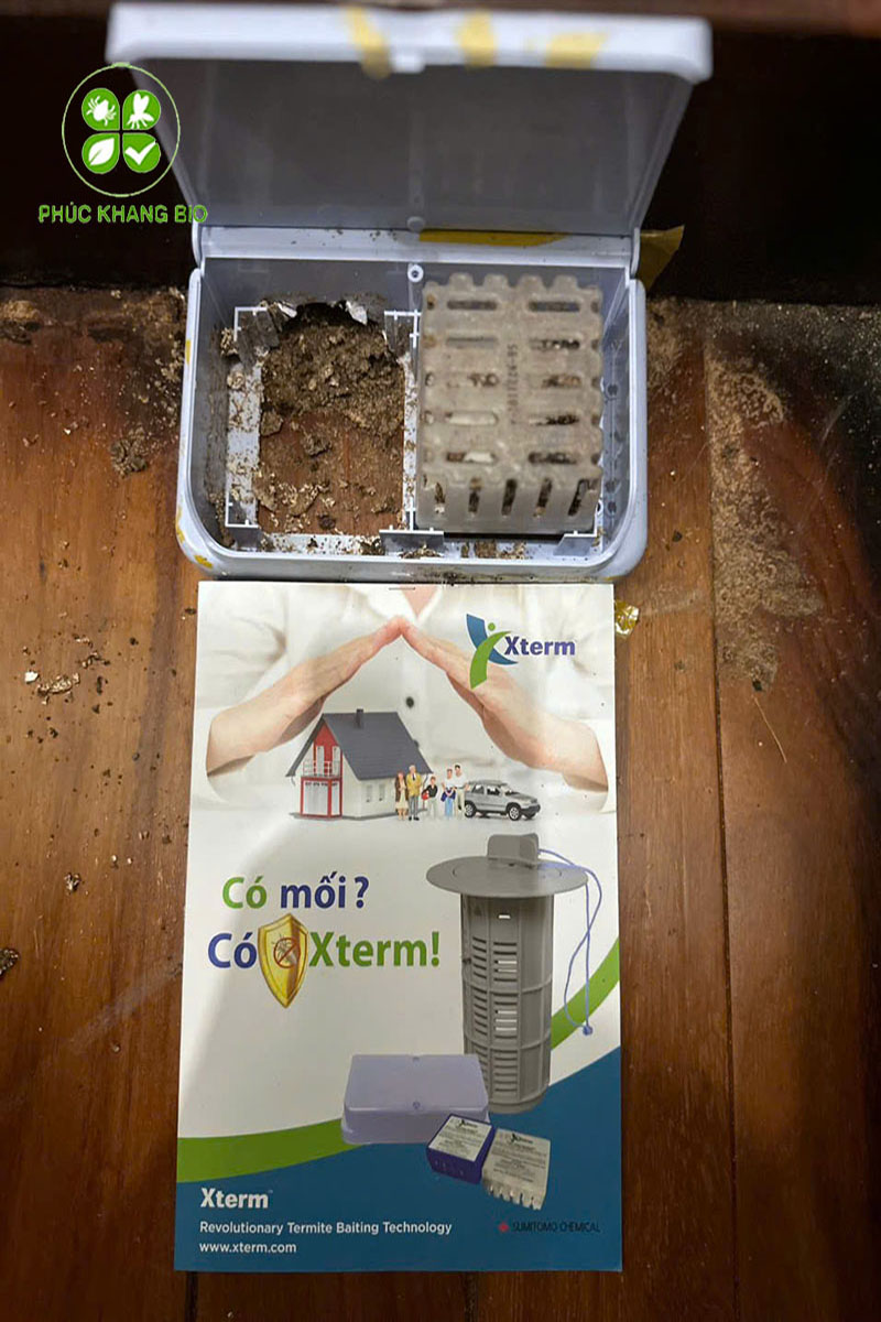 Liên hệ Phúc Khang Bio để diệt mối tận gốc
