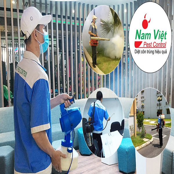 Diệt mối Nam Việt