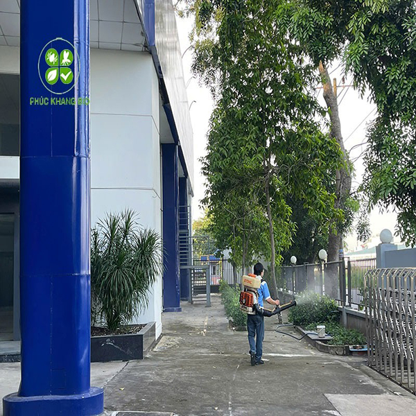 Tìm hiểu về dịch vụ diệt côn trùng uy tín