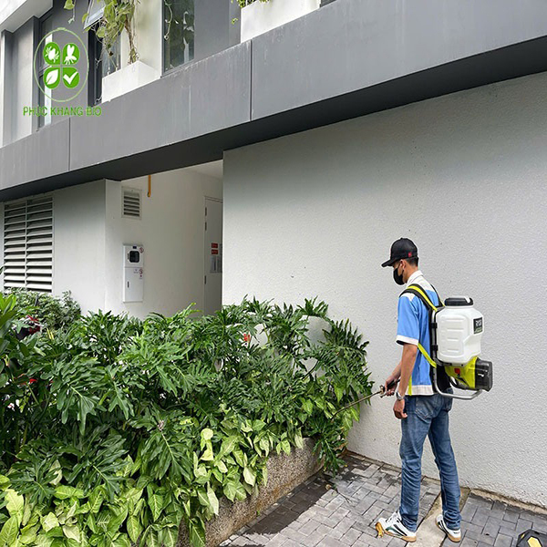 Vì sao chọn dịch vụ diệt côn trùng uy tín