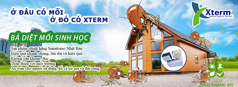 Phương pháp diệt mối tận gốc