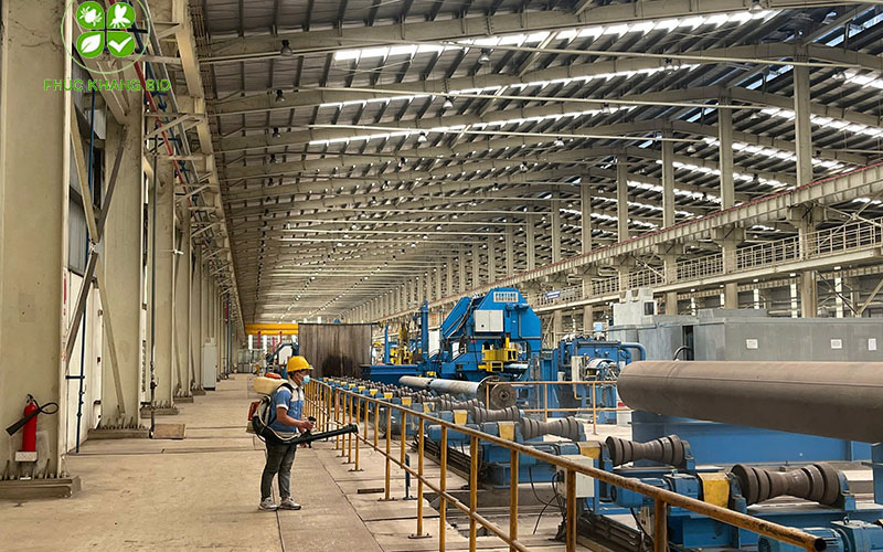Dịch vụ diệt mối tận gốc, chất lượng tại HCM