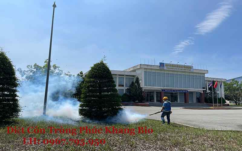 Dịch vụ diệt côn trùng tại nhà