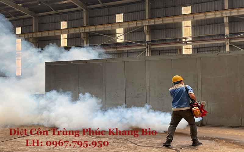 Diệt côn trùng tại Quận 1