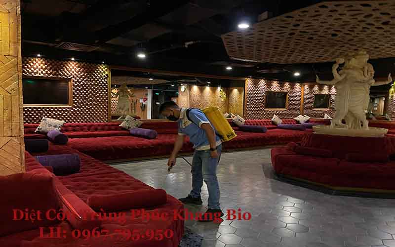 Diệt côn trùng tại TPHCM