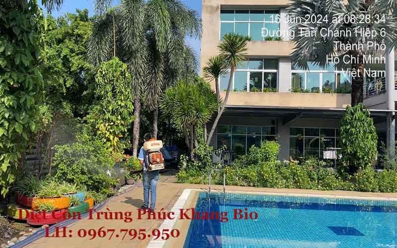 Lý do cần dịch vụ diệt côn trùng