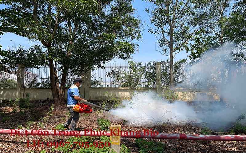 Phúc Khang Bio nhận diệt những loại côn trùng