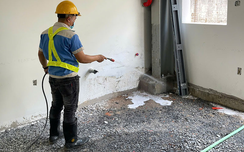 Quản lý công tác phòng chống mối cho công trình   