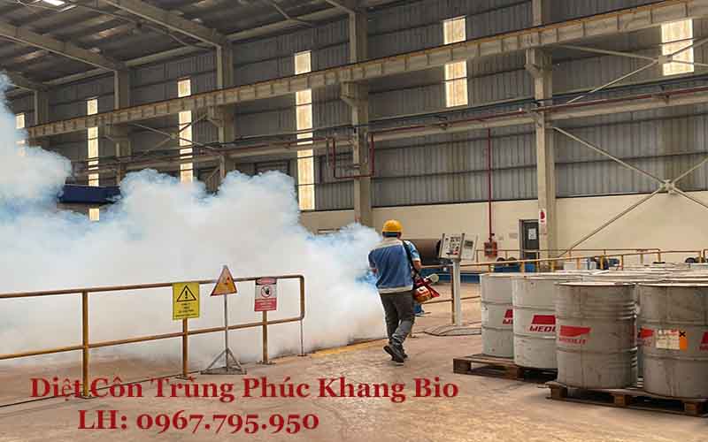 Quy trình diệt côn trùng chuyên nghiệp, tối ưu
